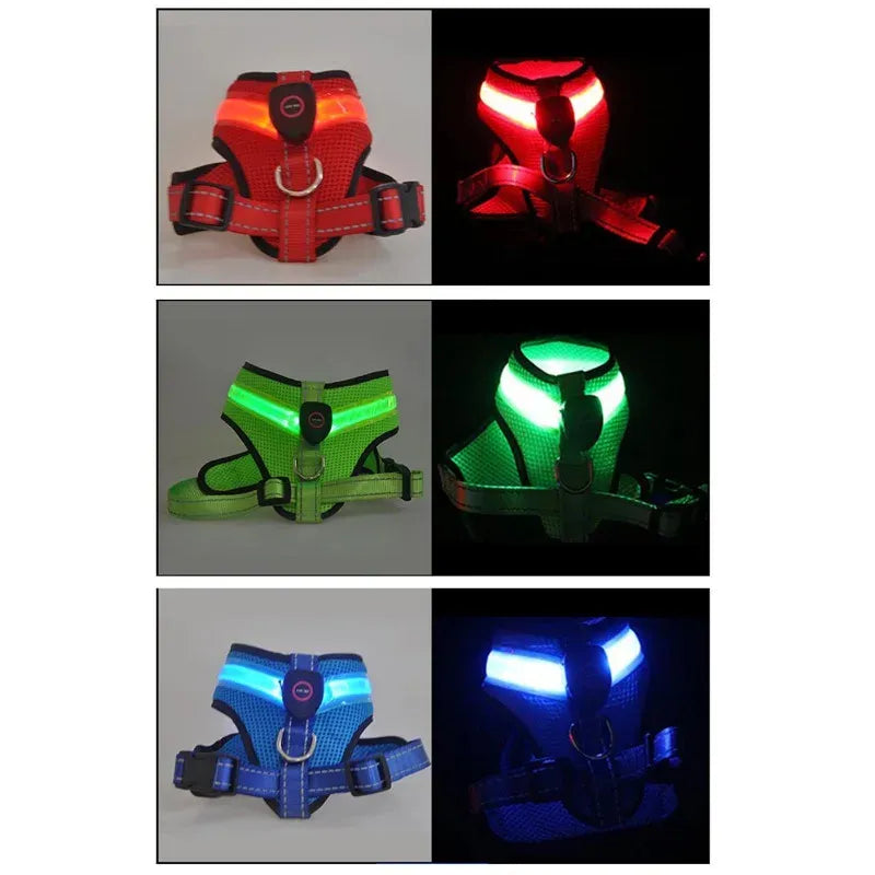 LumaPaws™ LED Rechargeable Dog Safety Harness