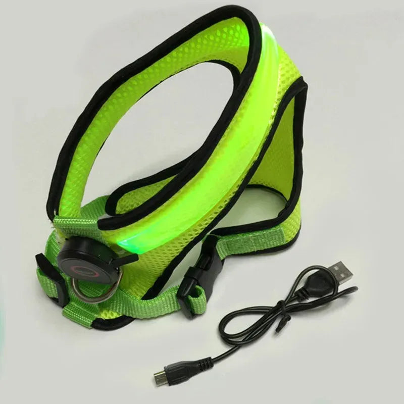 LumaPaws™ LED Rechargeable Dog Safety Harness
