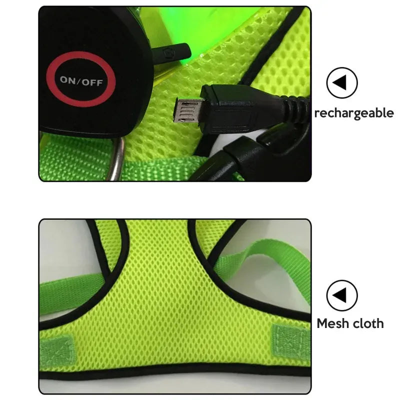 LumaPaws™ LED Rechargeable Dog Safety Harness
