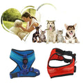 LumaPaws™ LED Rechargeable Dog Safety Harness